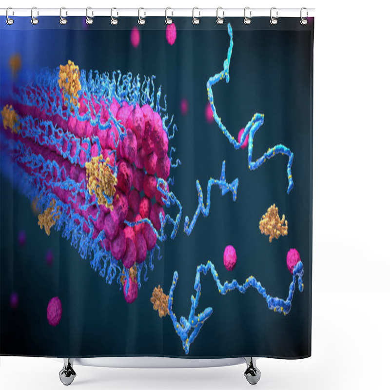 Personality  Protein Enzymes Fold Into Their Structure To Fulfill Their Function - 3d Illustration Shower Curtains