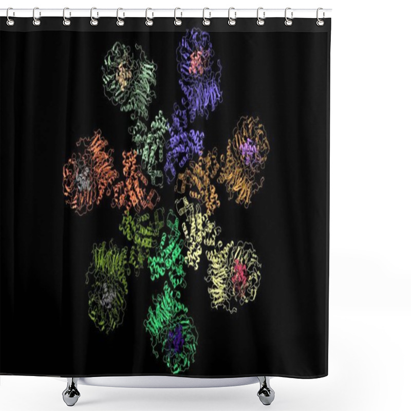 Personality  Structure Of The Apaf-1 Apoptosome With Cytochrome C Shown, 3D Cartoon Model, Black Background Shower Curtains