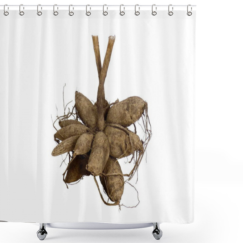 Personality  Dahlia Roots Flower Tubers Extracted From Soil On A White Background. Shower Curtains