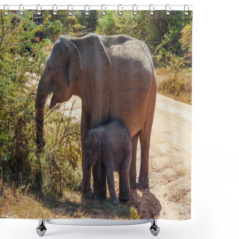 Personality  A Mother Elephant With Her Baby On Some Grassland Shower Curtains