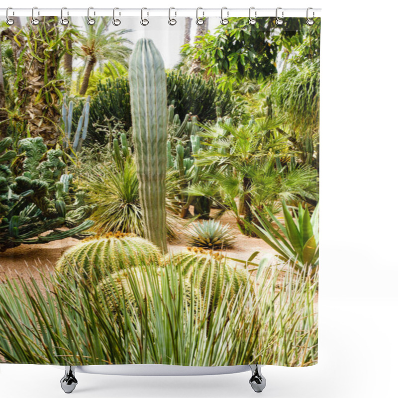 Personality  Variety Of Cacti And Palm Trees  Shower Curtains