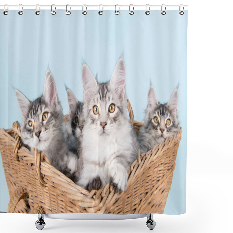 Personality  Maine Coon Kittens In Basket Shower Curtains