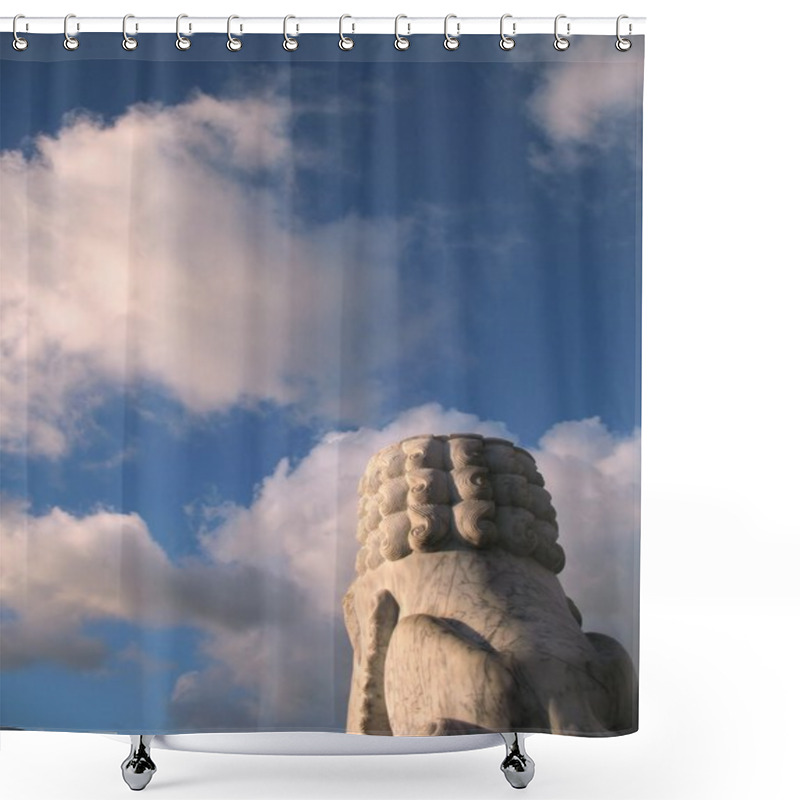 Personality  Stone Lion Shower Curtains