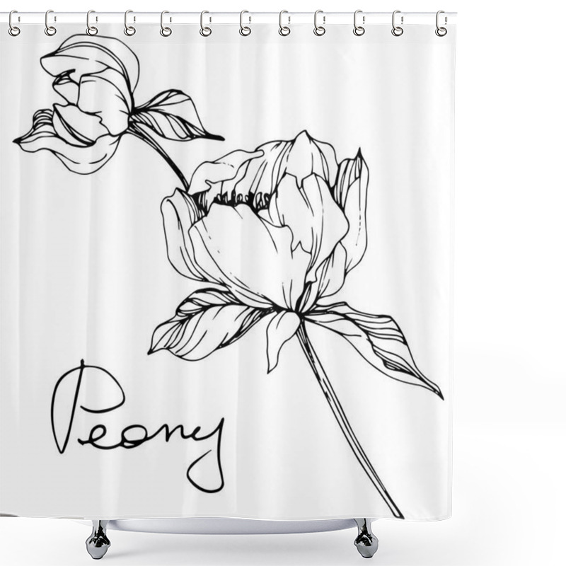 Personality  Vector Isolated Monochrome Peony Flower Sketch And Handwritten Lettering On White Background. Engraved Ink Art.  Shower Curtains