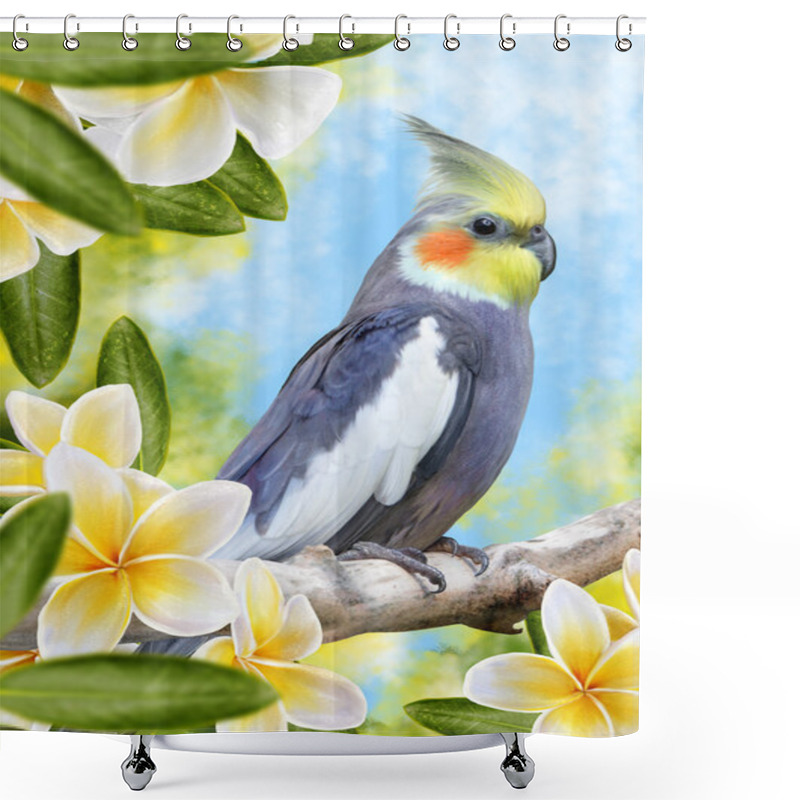 Personality  Bird Parrot Corella And White Flowers Plumeria, Frangipani Shower Curtains