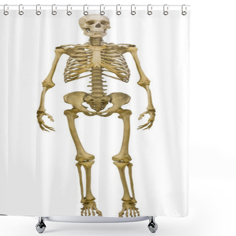 Personality  Full-face Human Skeleton On White Shower Curtains