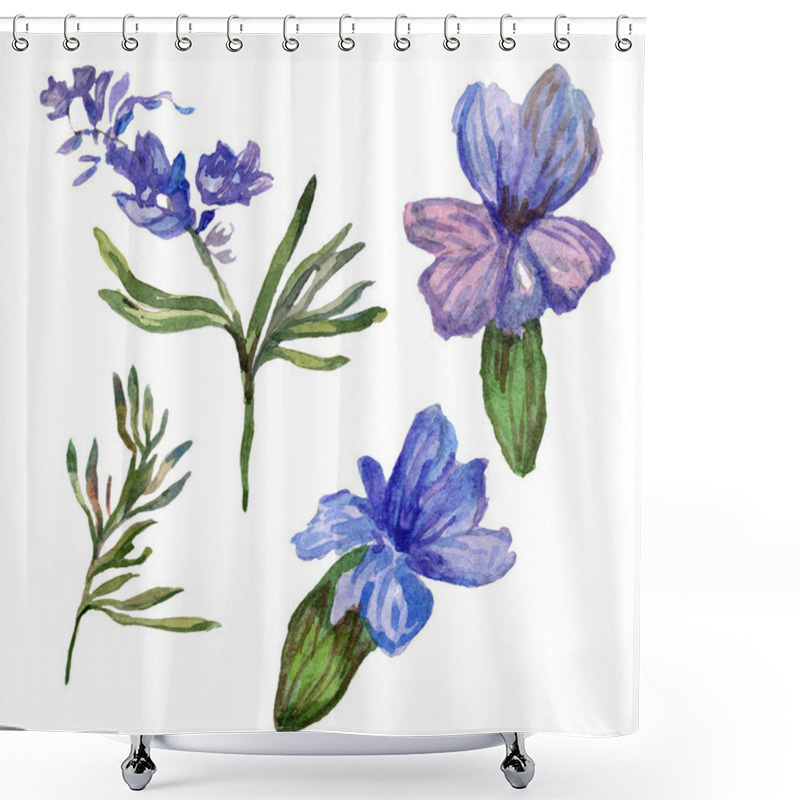 Personality  Purple Lavender Flowers. Wild Spring Wildflowers Isolated On White. Hand Drawn Lavender Flowers In Aquarelle. Watercolor Background Illustration. Shower Curtains