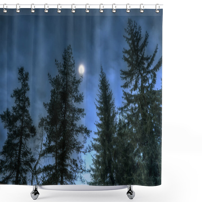 Personality  Pines At Night In The Woods. Moon Night Shower Curtains