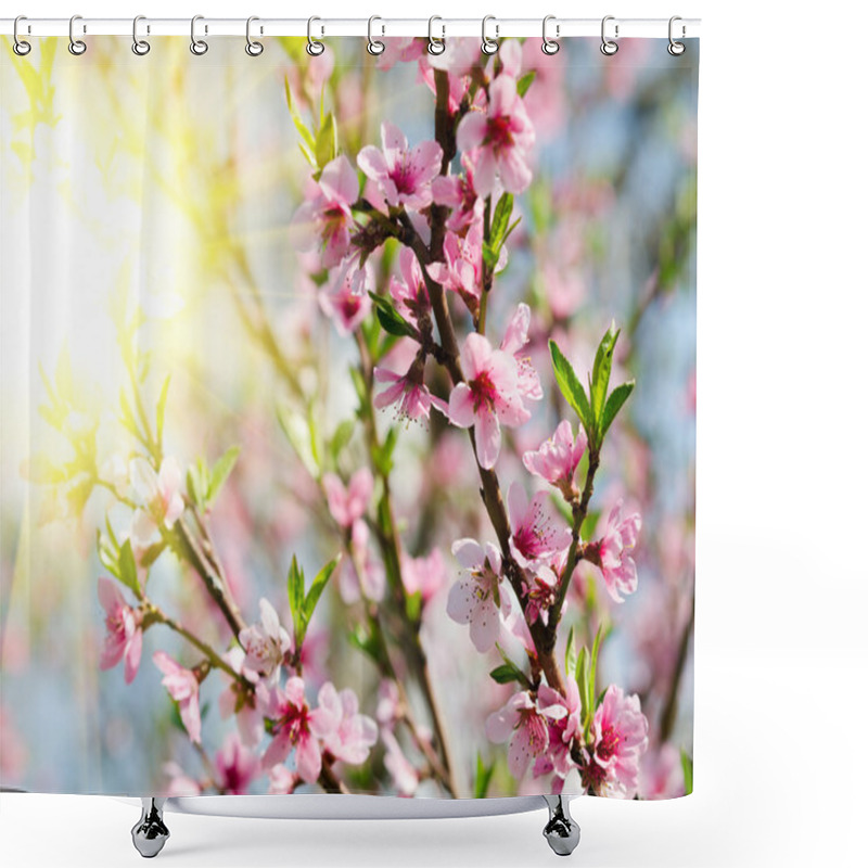 Personality  Peach Blossom At Spring Time Shower Curtains