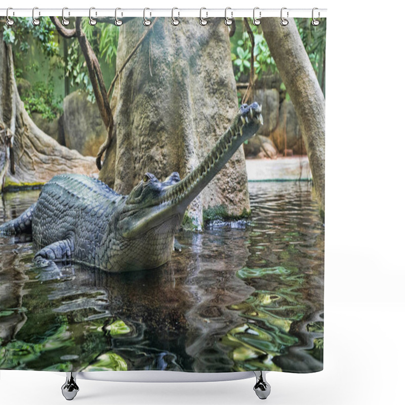 Personality  Gharial, Gavialis Gangeticus, Stands Out With A Very Long Jaw Shower Curtains