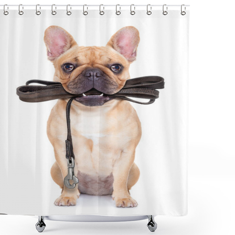 Personality  Leash Dog Ready For A Walk Shower Curtains