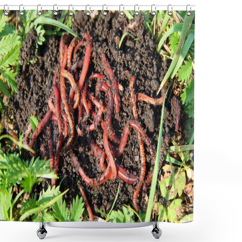 Personality  Many Red Worms In Dirt Shower Curtains