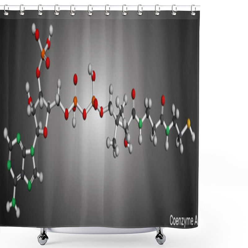 Personality  Coenzyme A, CoA, SHCoA, CoASH Molecule. Essential Coenzyme In Fatty Acid Metabolism And The Krebs Cycle, Citric Acid Cycle. Molecular Model. 3D Rendering. Illustration Shower Curtains