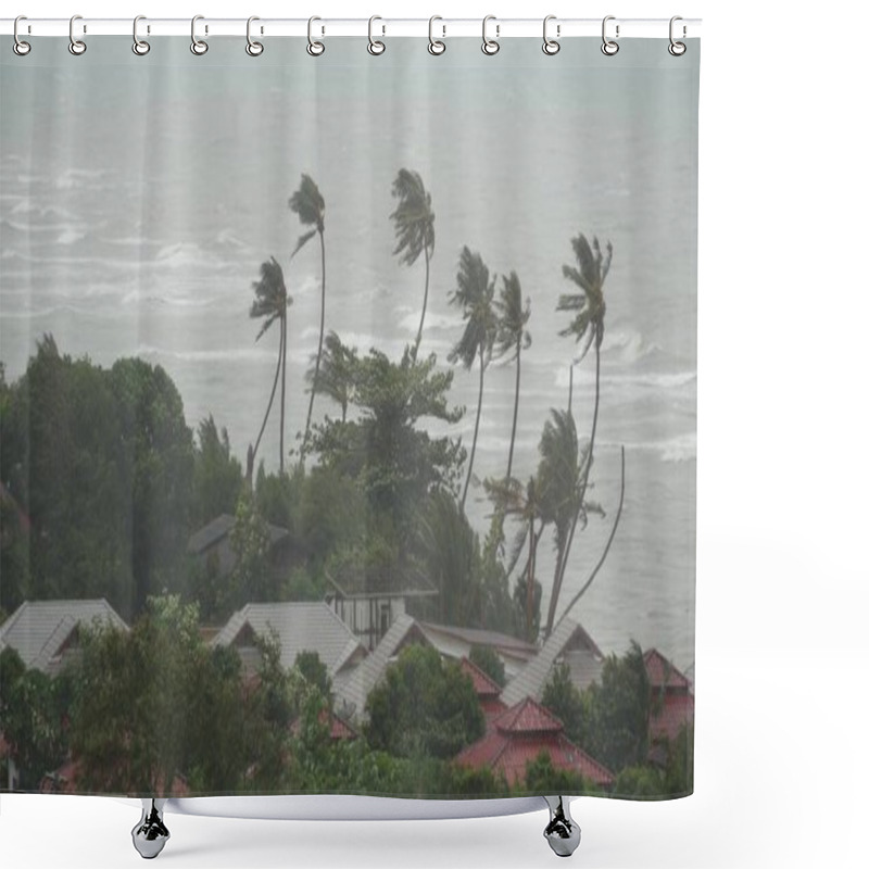 Personality  Pabuk Typhoon, Ocean Sea Shore In Thailand. Natural Disaster, Eyewall Hurricane. Strong Extreme Cyclone Wind Sways Palm Trees. Tropical Flooding Rain Season, Heavy Tropical Storm Weather, Thunderstorm Shower Curtains