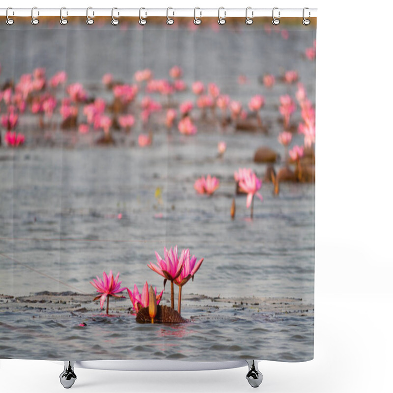 Personality  A Picturesque Scene Of Blooming Lotus Flowers In A Tranquil Lake Setting Showcasing Nature's Beauty. Shower Curtains