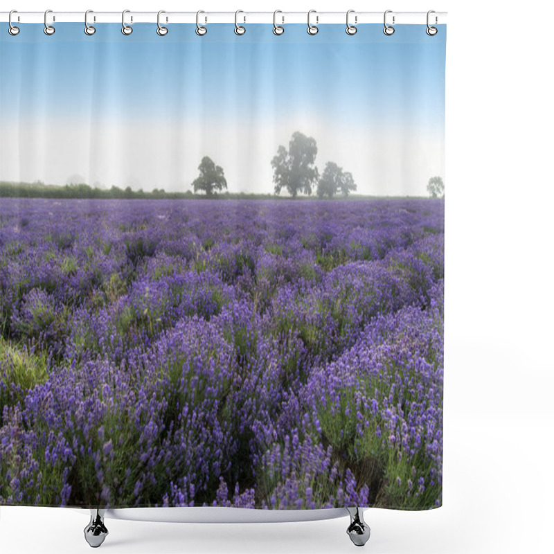 Personality  Beautiful Dramatic Misty Sunrise Landscape Over Lavender Field I Shower Curtains