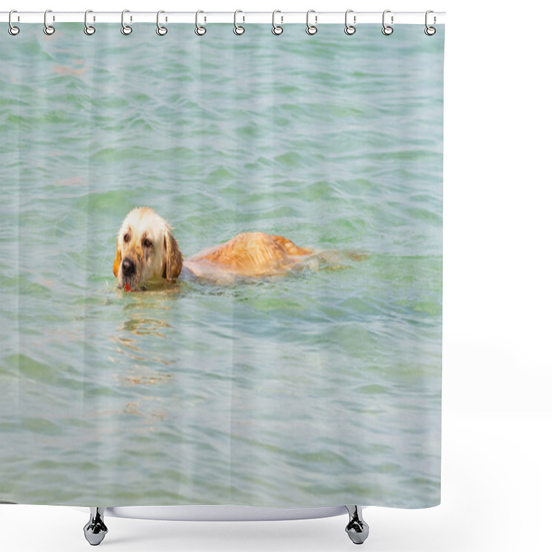 Personality  Dog Breed Labrador Swims In The Sea Shower Curtains