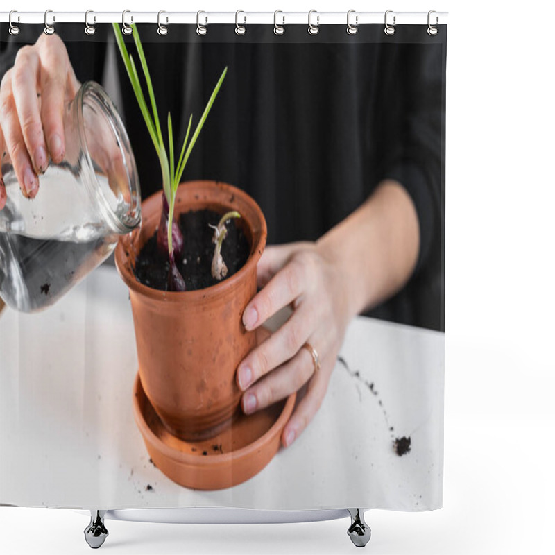 Personality  Young Millennial Woman Planting Onion Herbs At Home In A Pot. Home Gardening Hobby. Zero Waste Sustainable Lifestyle. Healthy Clean Food Shower Curtains