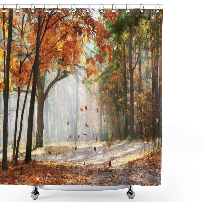 Personality  Fall In The Park Shower Curtains