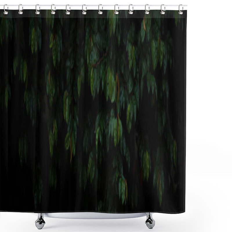 Personality  Wide Angle Background Image Of Dark Green Leaves Shower Curtains