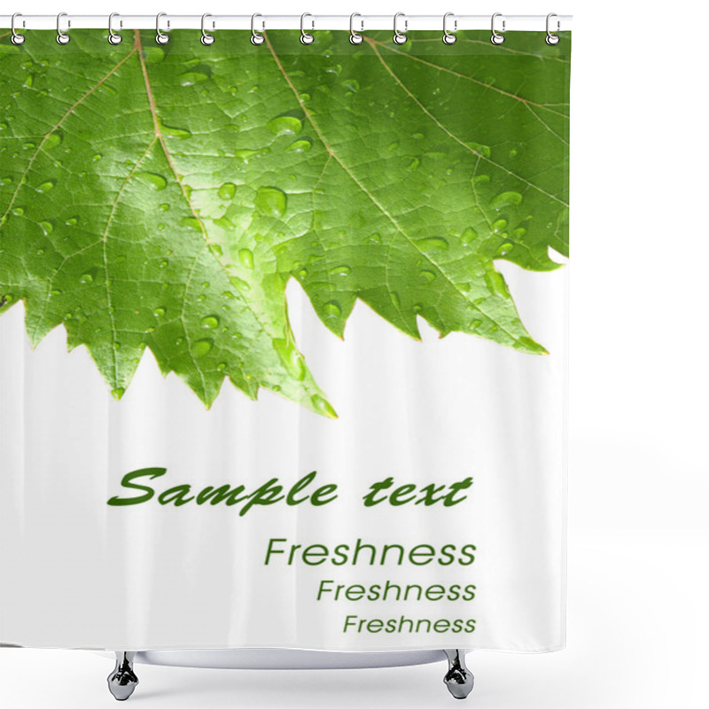 Personality  Grape Leaves With Drops - Card 2 Shower Curtains