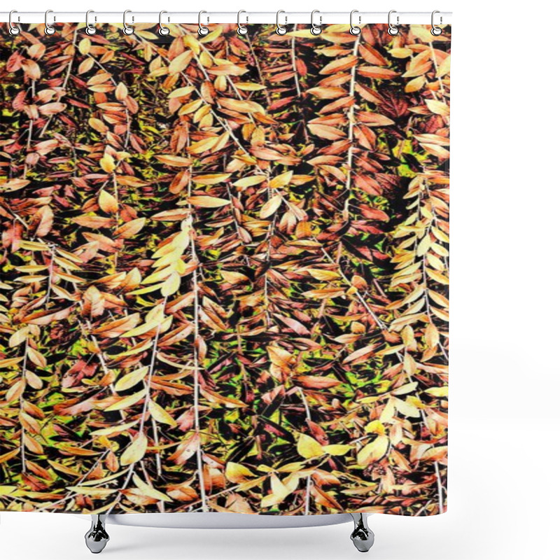 Personality  Close-up View Of Vibrant Autumn Leaves In Warm Orange And Brown Hues, Creating A Textured And Natural Background With Intricate Patterns And Subtle Green Highlights. Shower Curtains