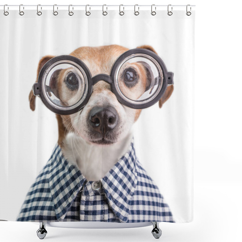 Personality  Funny Nerd Dog Portrait In Round Glasses And Checkered Shirt. White Background Shower Curtains