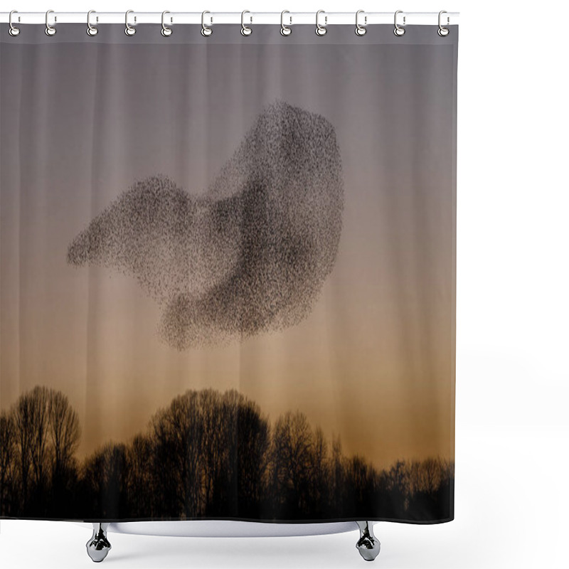 Personality  The Murmurations Of Starlings In Evening Light Shower Curtains