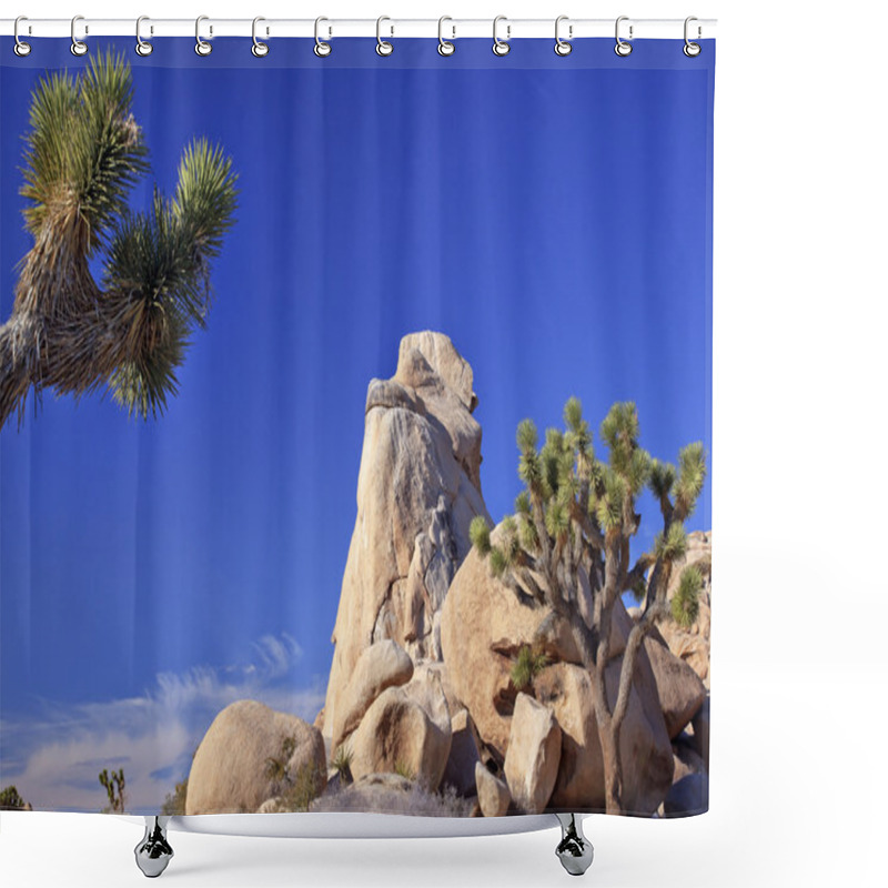 Personality  Rock Yucca Brevifolia Mojave Desert Joshua Tree National Park C Shower Curtains