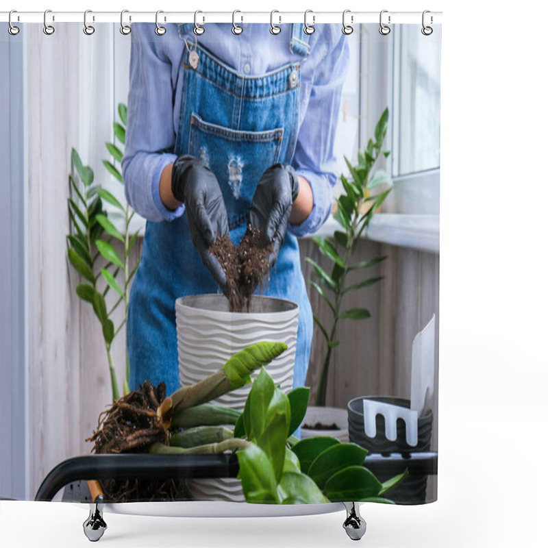 Personality  Gardener Woman Transplants Indoor Plants And Use A Shovel On Table. Zamioculcas Concept Of Plants Care And Home Garden. Spring Planting. Money Tree Shower Curtains