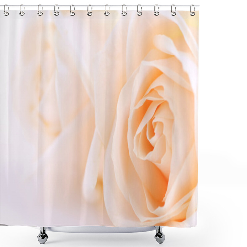 Personality  Macro Of Two Delicate Beige Roses On White Background Shower Curtains