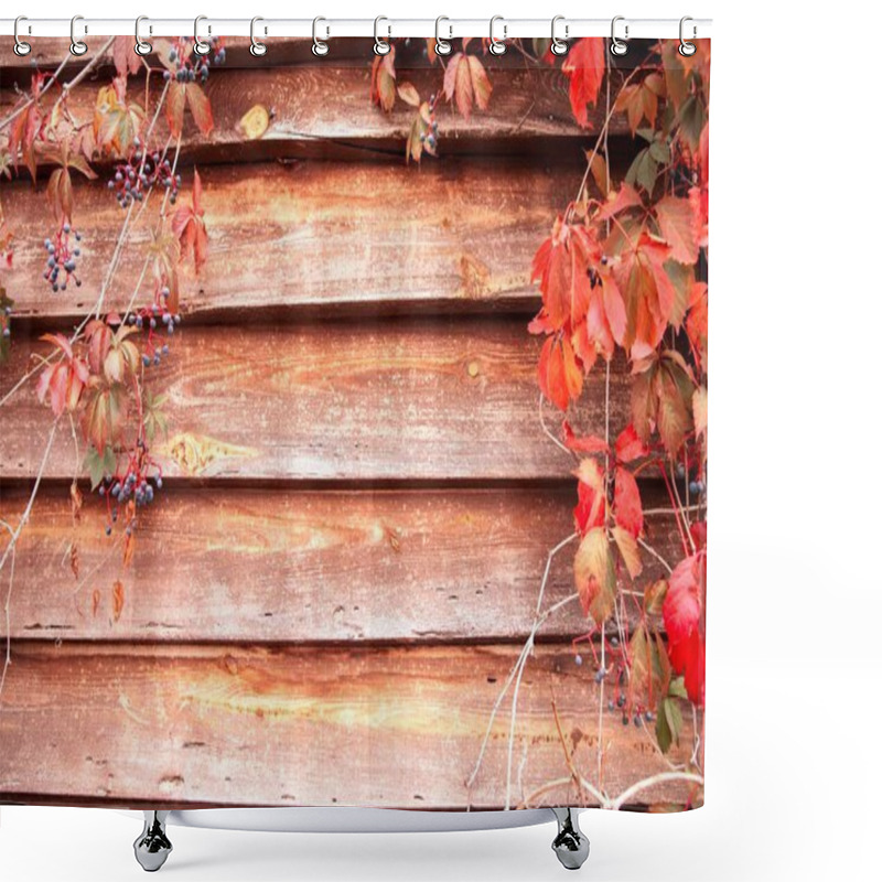 Personality  Rustic Wooden Wall With Red Autumn Leaves And Blue Berries Shower Curtains