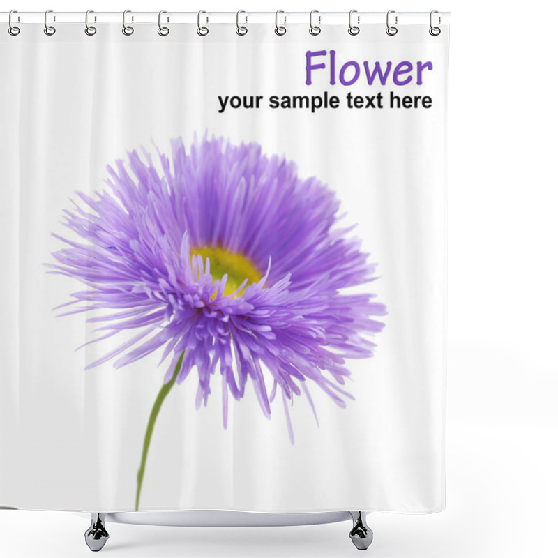 Personality  Beautiful Wild Flowers Shower Curtains