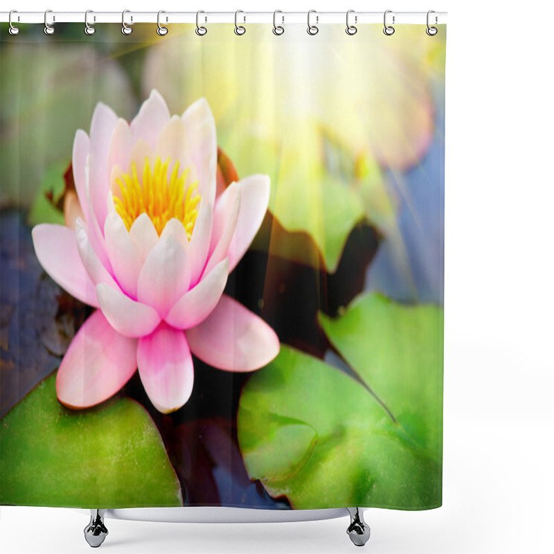 Personality  Blooming Floating Waterlilly Shower Curtains