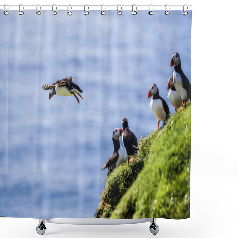 Personality  Beautiful Vibrant Picture Of Atlantic Puffins On Cliffs Shower Curtains