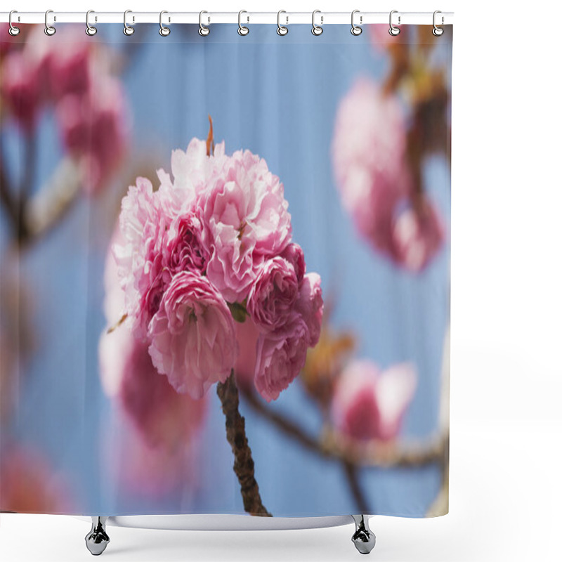 Personality  Pink Cherry Blossoms Shower Curtains