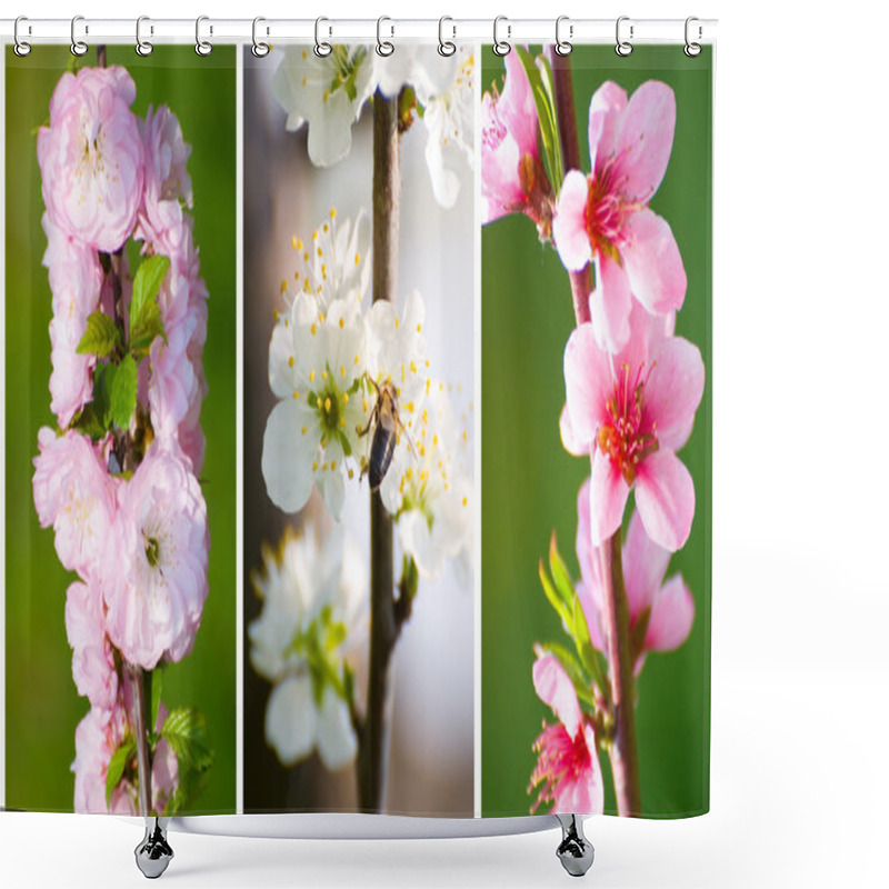 Personality  Set Of Spring Fruit Tree Blossoms Shower Curtains