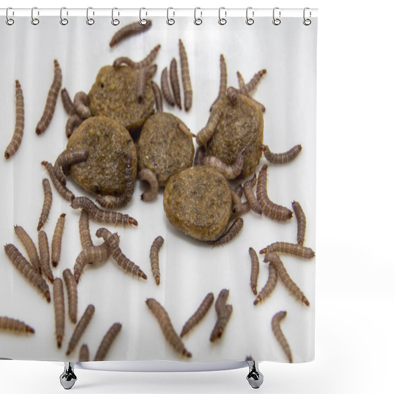 Personality  Small Worms Found In Dry Dog Food/Kibble Measuring About 1cm In Length Shower Curtains