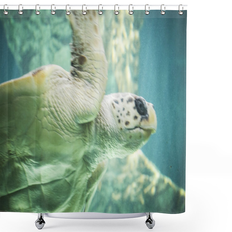 Personality  Huge Sea Turtle Underwater Shower Curtains