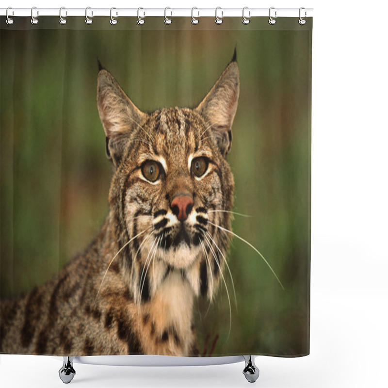 Personality  Bobcat Portrait Shower Curtains