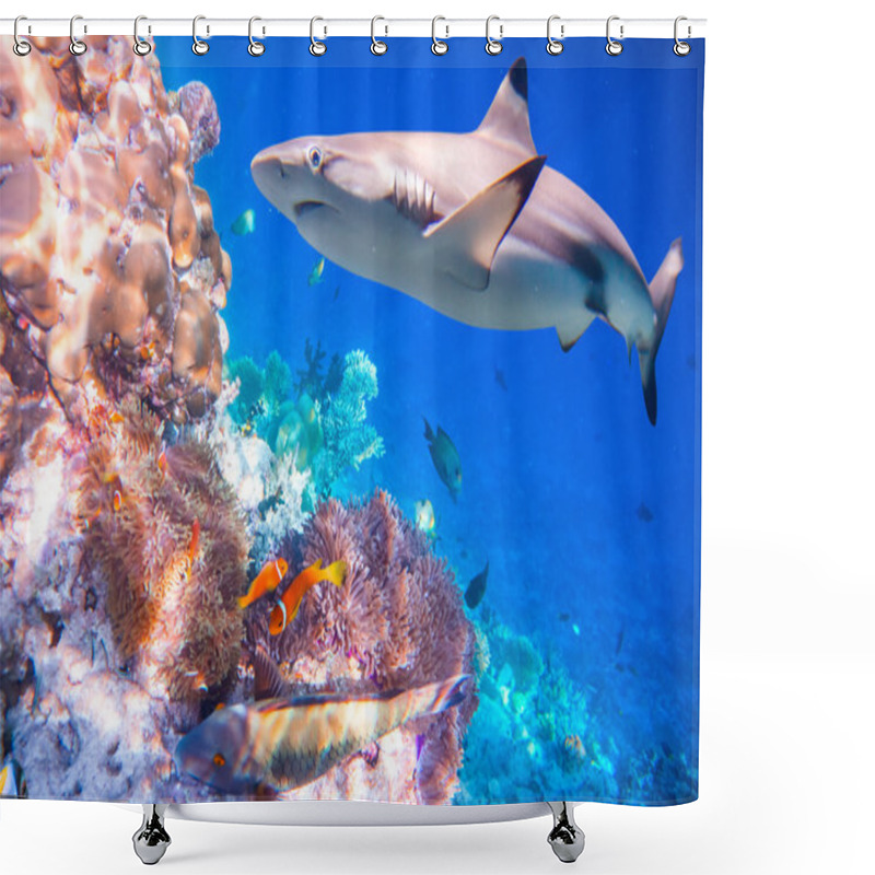 Personality  Tropical Coral Reef. Shower Curtains