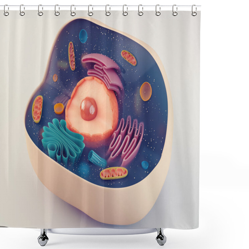 Personality  Anatomical Structure Of Animal Cell Shower Curtains