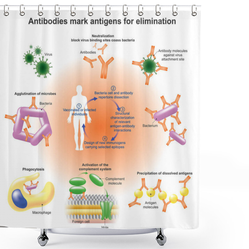 Personality  An Antibody (Ab),also Known As An Immunoglobulin Is A Large, Y-shaped Protein Produced Mainly By Plasma Cells That Is Used By The Immune System To Identify And Neutralize Pathogens Such As Bacteria And Viruses. Shower Curtains