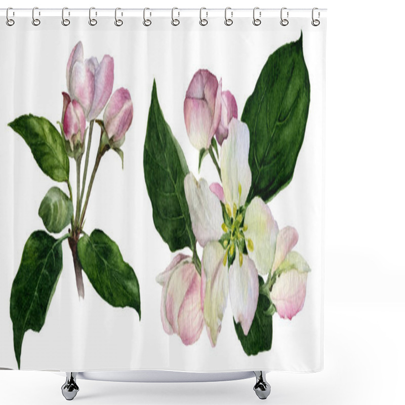 Personality  Set Of Apple Flowers And Buds With Green Leaves Hand Painted In Watercolor Isolated On The White Background Shower Curtains