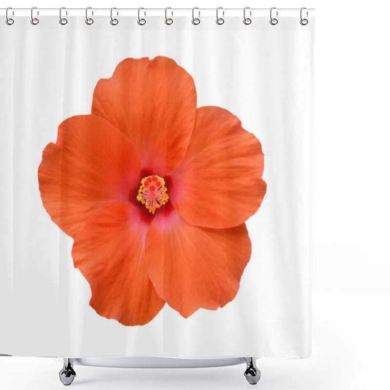 Personality  Flowers On A White Background. Shower Curtains