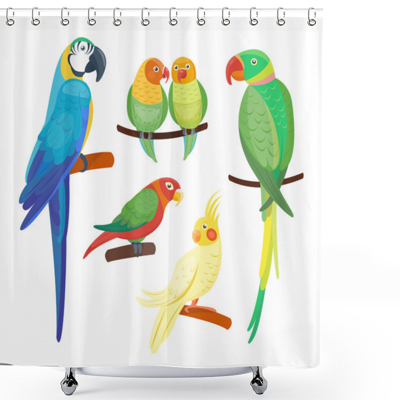 Personality  Cartoon Parrots Set Vector Shower Curtains