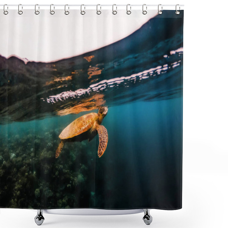 Personality  Turtle Floating Underwater Close To Surface Of Water, Philippines Shower Curtains