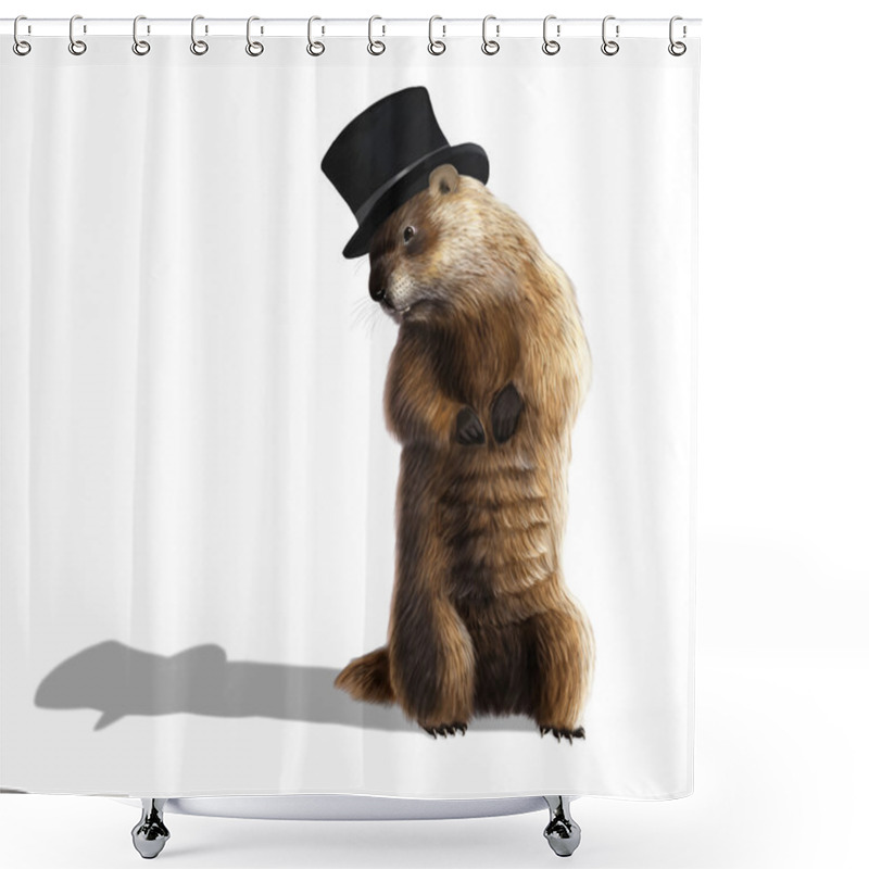 Personality  Groundhog Shower Curtains