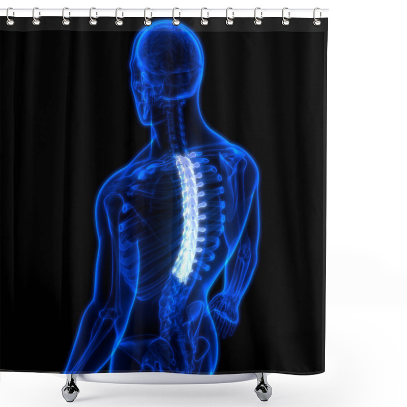 Personality  Vertebral Column Of Human Skeleton System Anatomy Shower Curtains