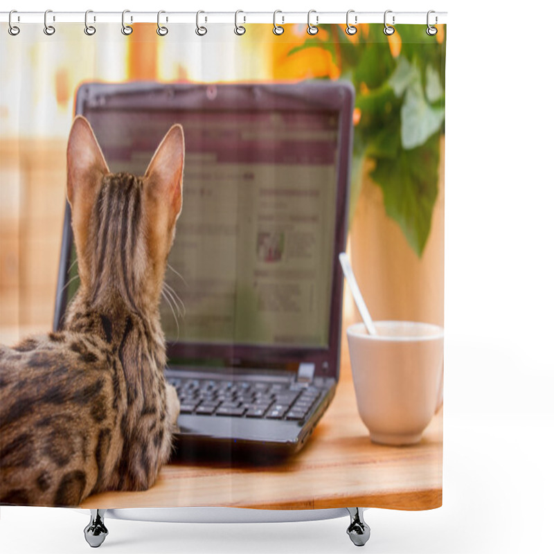 Personality  Bengal Kitten Surfing The Web Shower Curtains